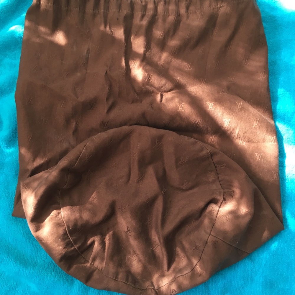 Authentic Louis Vuitton shoe bag
